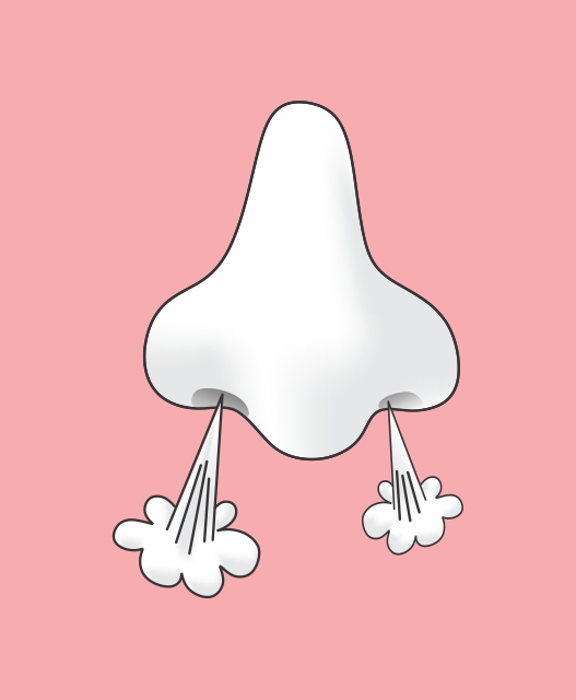 http://www.aakkforever.org/files/gimgs/84_aakk-adam-nose-s.jpg