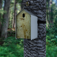 14_diy-birdhouse.png